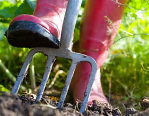 Digging with fork