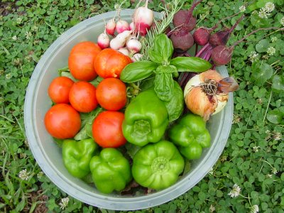 Spring vegetables