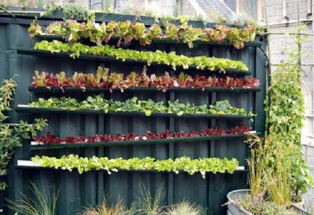 rain-gutter-garden