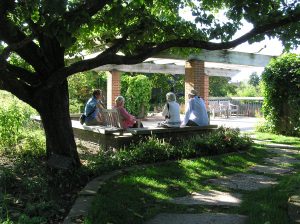 Providing shade in the garden