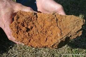 Clay Soil