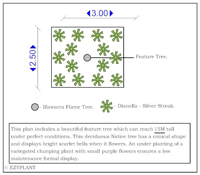 Rectangle Feature Garden Bed Plan with Native Species & a Feature Tree ...